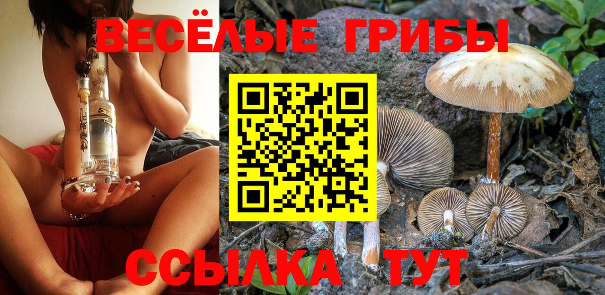 Галлюциногенные грибы MAGIC MUSHROOMS Сибай